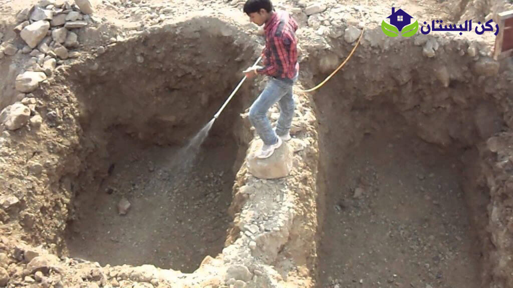 شركة مكافحة النمل الابيض بالمدينه المنوره
