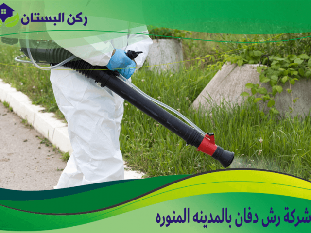 شركة رش دفان بالمدينه المنوره