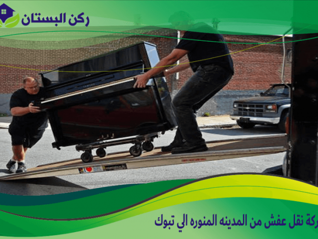 شركة نقل عفش من المدينه المنوره الي تبوك