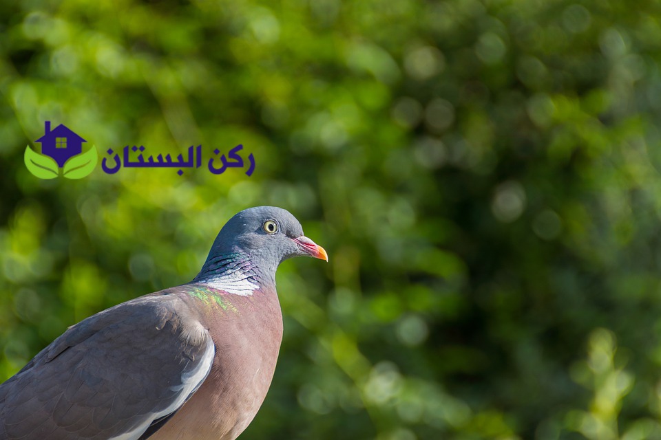 شركة تركيب أغطية مكيفات فيبر
