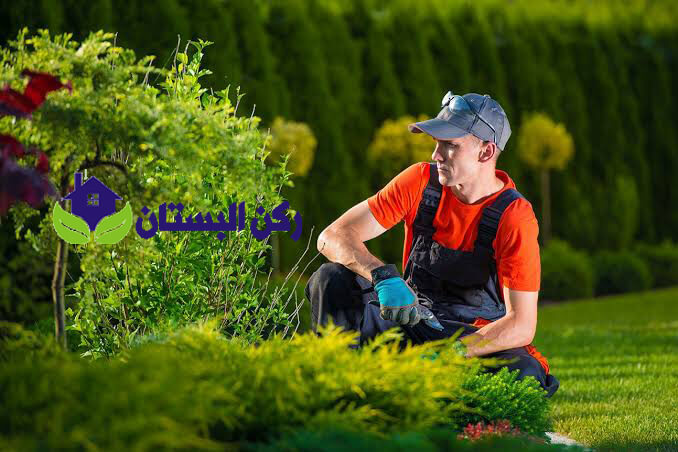 مهندس تصميم حدائق بالمدينة المنورة