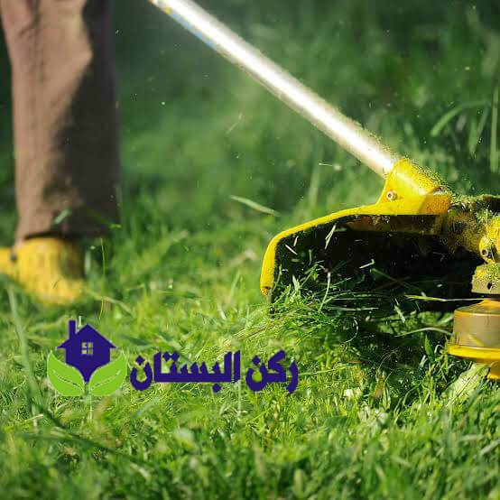 شركة تنسيق احواش بالمدينه المنوره