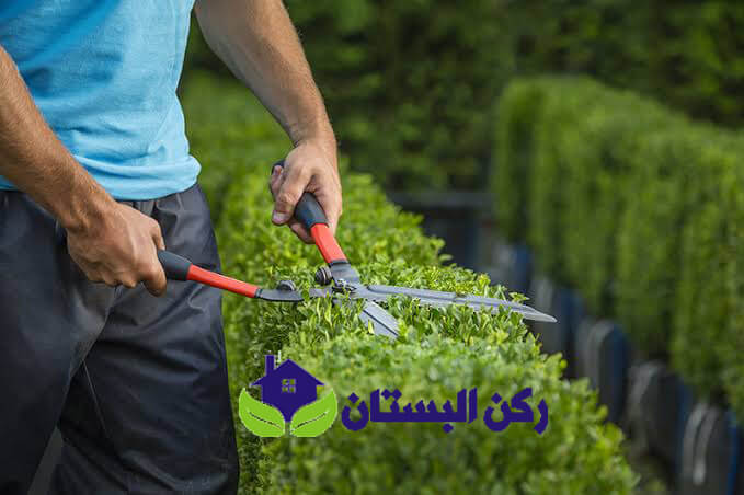 معلم تنسيق حدائق بالمدينة المنورة