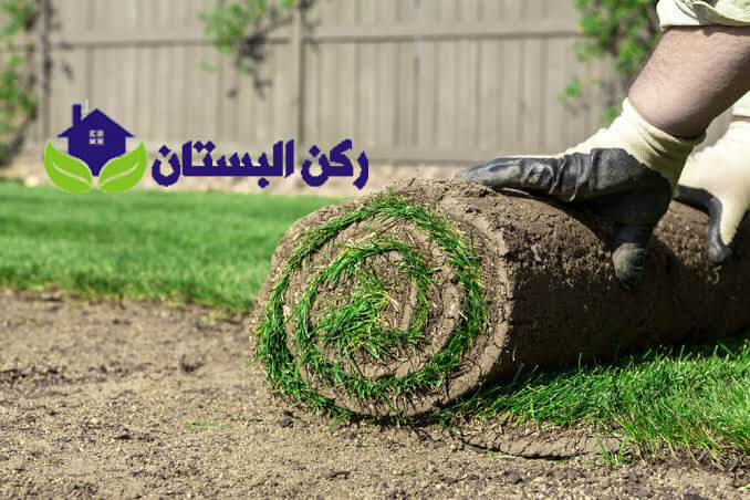 شركة تنسيق حدائق بالمدينة المنورة