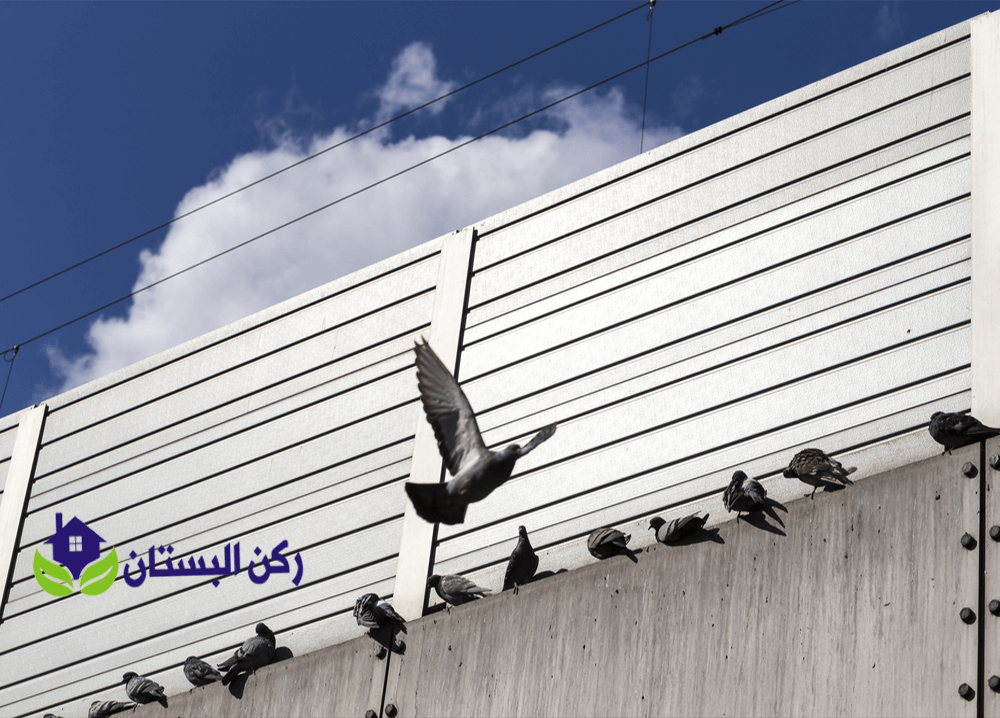 شركة تركيب طارد الحمام بالحناكية