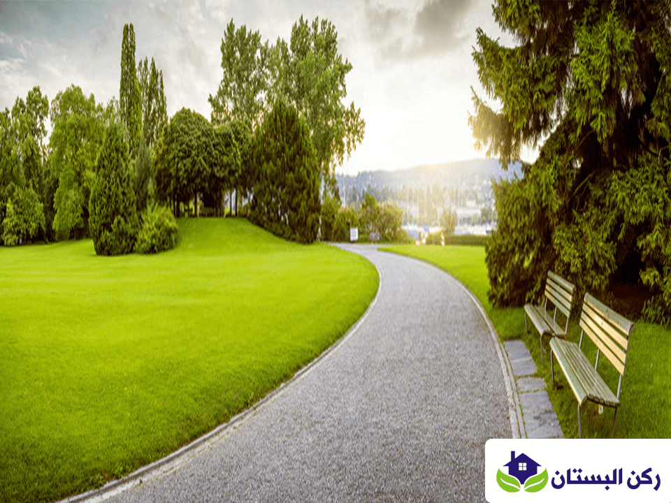 شركة تنظيف استراحات بالمدينة المنورة