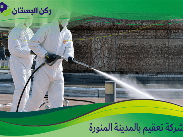 شركة تعقيم بالمدينة المنورة