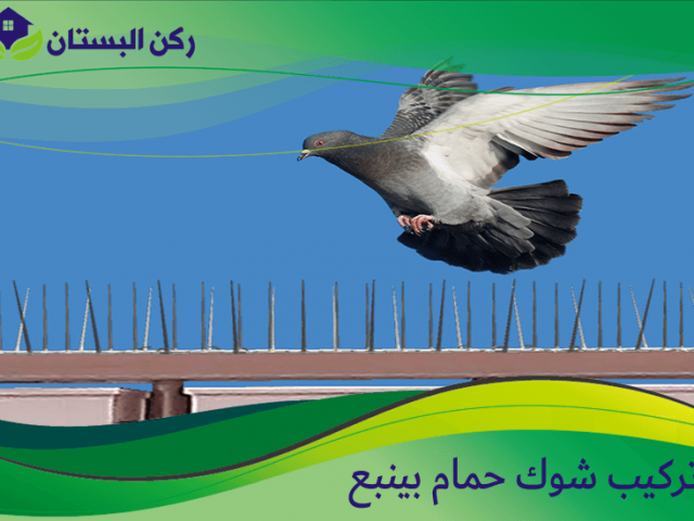 تركيب شوك حمام بينبع