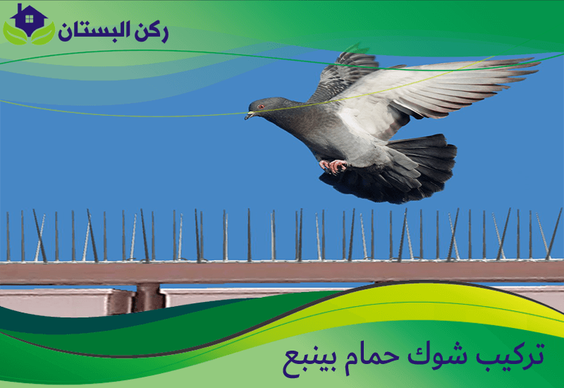تركيب شوك حمام بينبع
