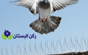 شركة تركيب طارد حمام بينبع