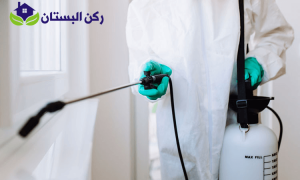 شركة رش مبيدات بينبع