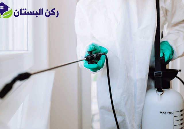 شركة رش مبيدات بينبع