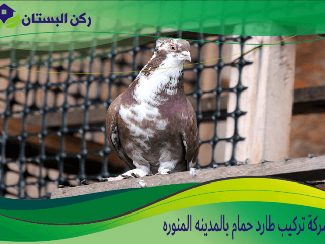 شركة تركيب طارد حمام بالمدينه المنوره