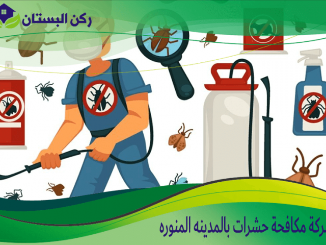 شركة مكافحة حشرات بالمدينه المنوره
