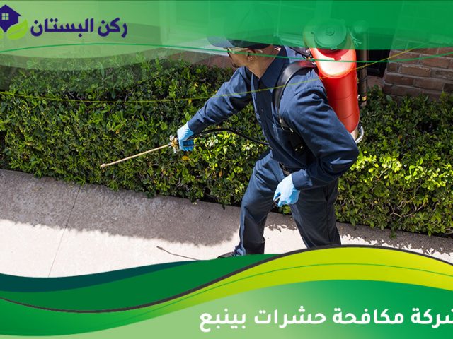شركة مكافحة حشرات بينبع