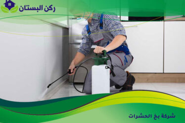 شركة بخ الحشرات