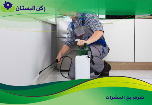 شركة بخ الحشرات